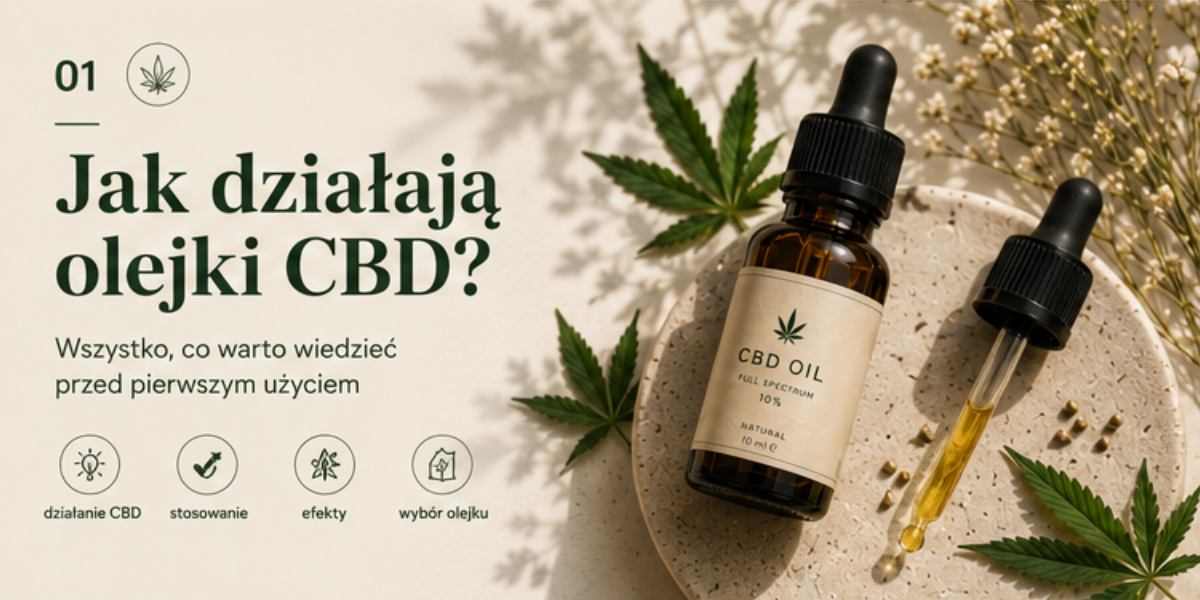 Jak działają olejki CBD? Wszystko, co warto wiedzieć przed pierwszym użyciem
